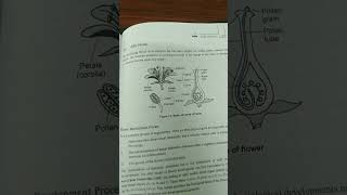 ABC model system of flower development lifescience plant netset viral study