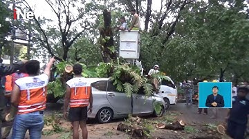 Pohon Tumbang Timpa Mobil Berpenumpang di Makassar #iNewsSiang 11/10