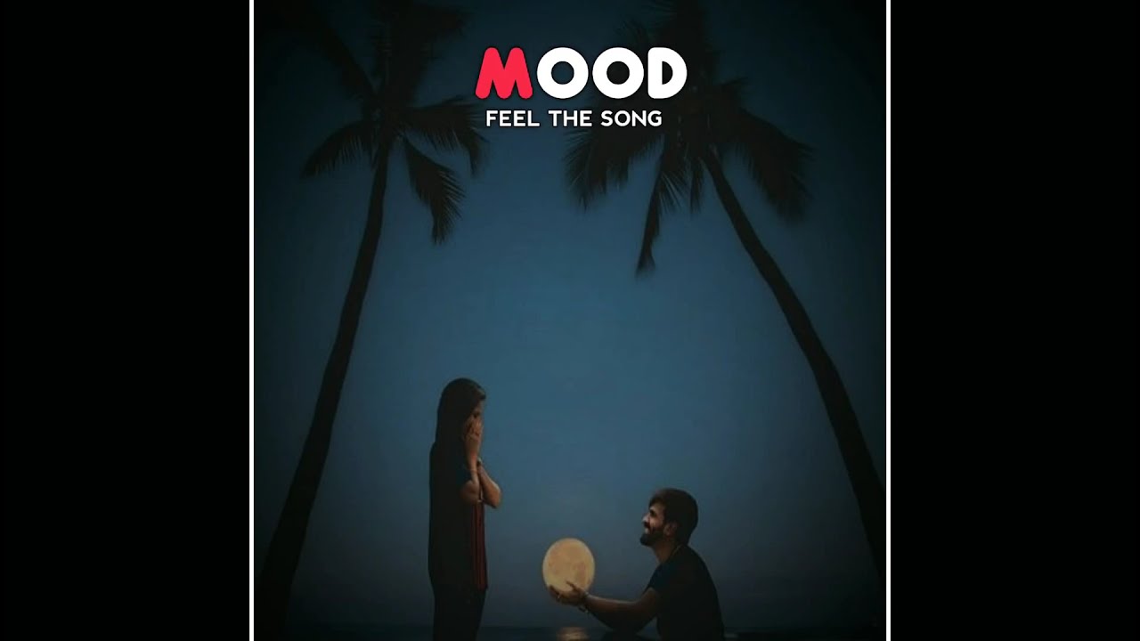 Feel the music WhatsApp status|Feel the song status hindi |Mood feel the song whatsapp |#aveeplayer