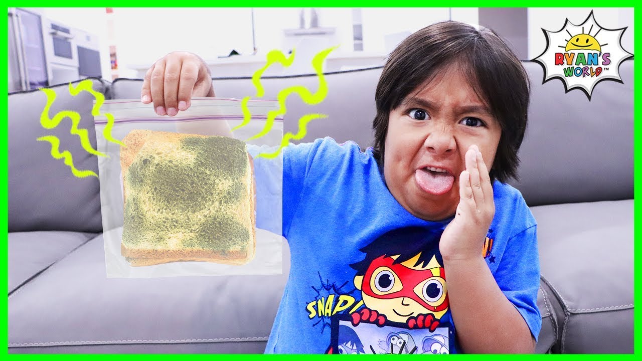 Science Story Time Experiment: Bread and Mold, Video #51121