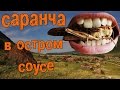 САРАНЧА в остром соусе. Экстремальная кухня