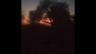 Cemeteries - Sodus (slowed & reverb)