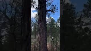 Fortress Outdoor Router The Ultimate Companion For Any Outdoor Adventurer