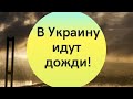 В Украину идут дожди: синоптики дали детальный прогноз на начало недели. Карта