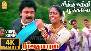 Sithagathi Pookale - 4K Video Song சித்தகத்தி பூக்களே |  Rajakumaran | Prabhu | Meena | Ilaiyaraaja