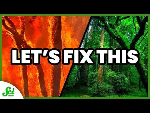 Our Roadmap to Fix Climate Change | SciShow News