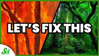 Our Roadmap to Fix Climate Change | SciShow News screenshot 4