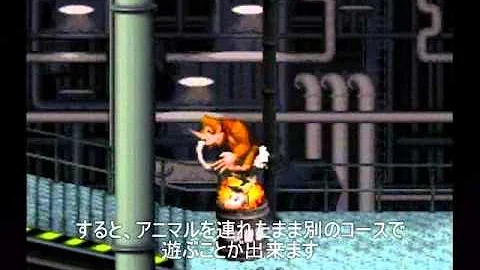 تحميل ドンキー コング アニマル フレンド Mp4 Mp3