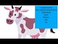 Four animals story ! 4 animals ki kahani !video new story in Hindi ! cartoon story