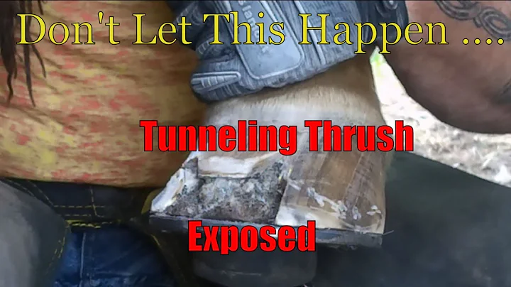 Don't Let This Happen - Tunneling Thrush ... Exposed