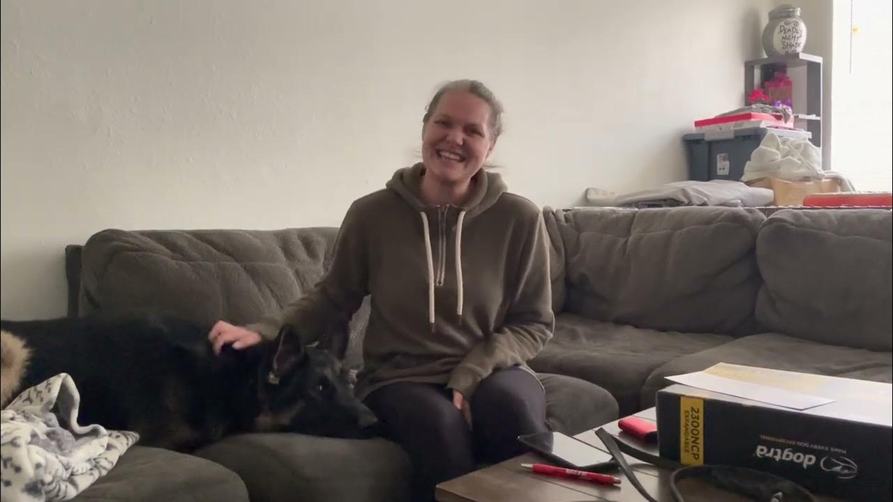 Dog Training OKC Tip Top K9 Reviews YouTube