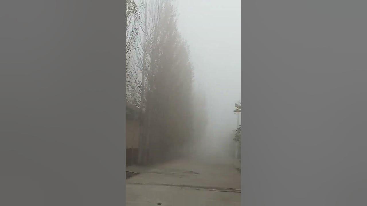 Andijon viloyati ob havo maʼlumoti tuman - YouTube