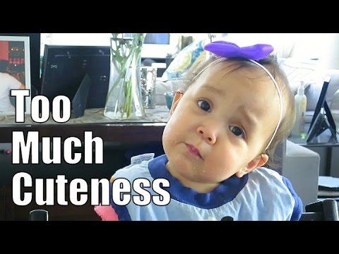 Too Much Cuteness! - April 17, 2015 - ItsJudysLife Vlogs - YouTube