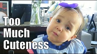 Too Much Cuteness! - April 17, 2015 - ItsJudysLife Vlogs