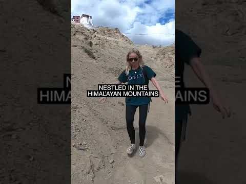 A week in LEH Ladakh 🇮🇳#shorts