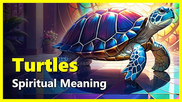 Spiritual Meaning of Turtles (Dreams, Encounters & Historical Symbolism)