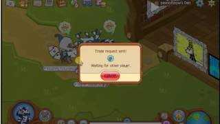 animal jam getting 1st glitched ring