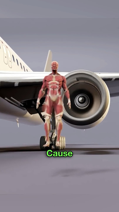 Airplane Engines 😳