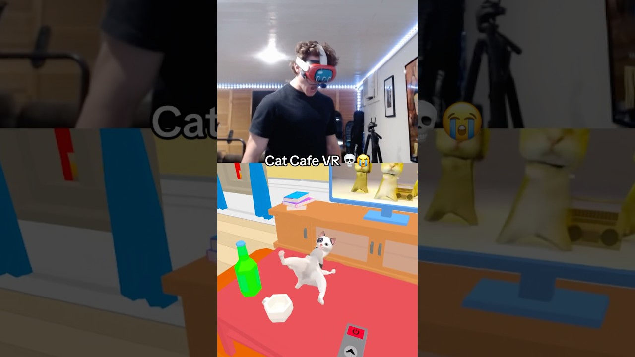 Cat Cafe VR is Cursed