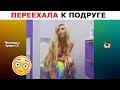 Лучшие инста вайны 2019 | Сергей Штепс, Настя Гонцул, Глеб Вешкин, Макс Долинов, Dukascopy