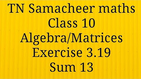 Sum 13 Exercise 3.19 Class 10 Algebra Tamilnadu Samacheer maths Nithyaganesh Maths