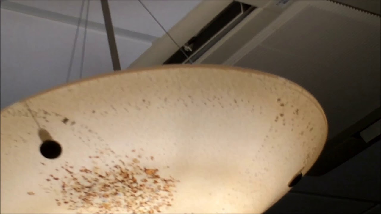 Mitsubishi Mr Slim Ceiling Cassette Air Conditioner Youtube