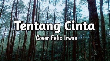 Ipang - Tentang Cinta (Cover Felix Irwan) Lirik Video