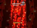 अयोध्या का अलौकिक श्रृंगार 🎊 History Create Over 2.6 Million Diya Wish All Happy & Prosperous Diwali