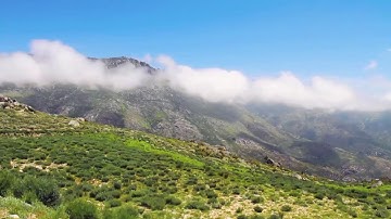سورة الطارق بصوت الشيخ هاني الرفاعي