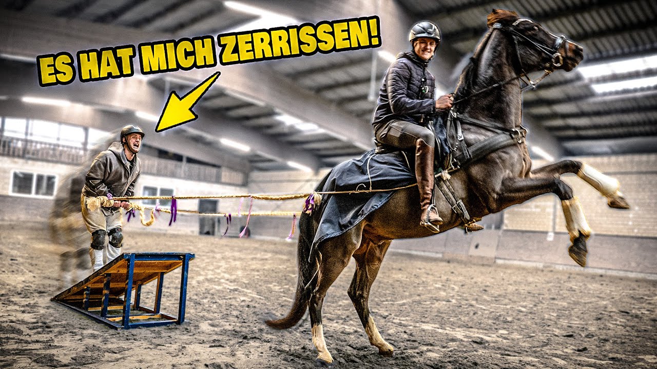 POV: Du musst Pferde Inline Skaten