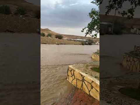 ٢٢ مارس ٢٠٢٥