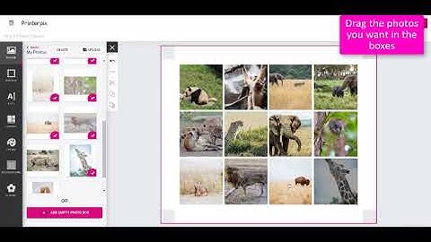 Printerpix- How to create a Collage canvas