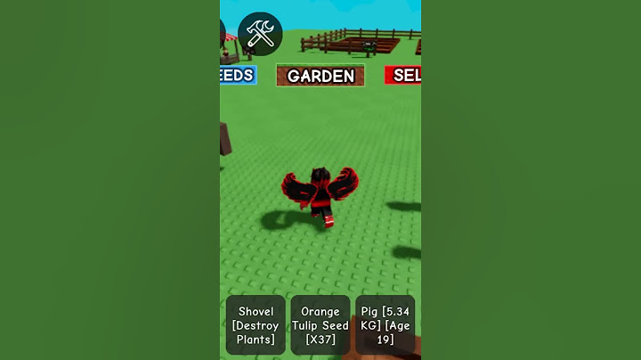 This is my second account, and it's still noob. Can you give a fruit or pet for my second account?