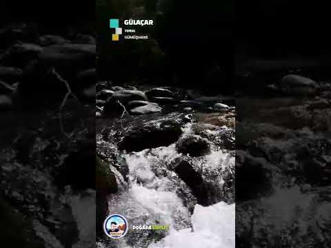 Gümüşhane / Torul