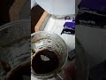 انقاذ فراشة من الموت المحقق
