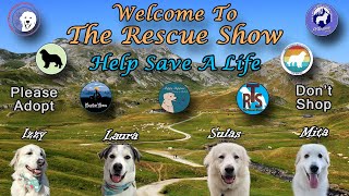 The Rescue Show 4282024