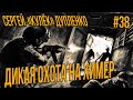 STALKER RP - КУЛЕК ДИКАЯ ОХОТА НА ХИМЕР ЗА САЙГУ #38 СТАЛКЕР РП DARKWAY DAYZ MOD