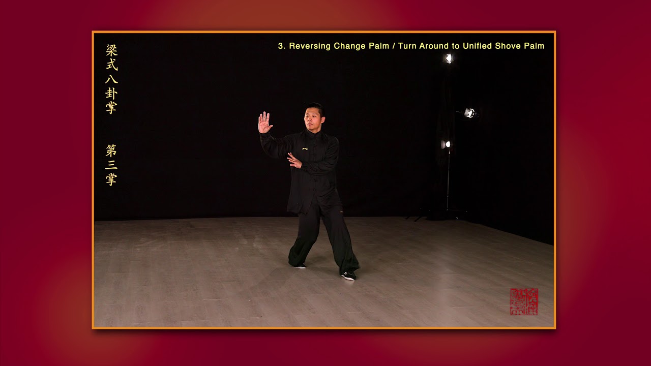 Liangshi Baguazhang 