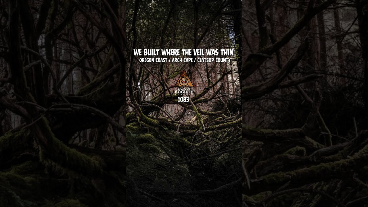 They built a house on the edge of the forest in Arch Cape, Oregon… and something started coming