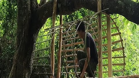 How I Built a Hidden Shelter in the Forest, Hanging From a Large Tree Branch