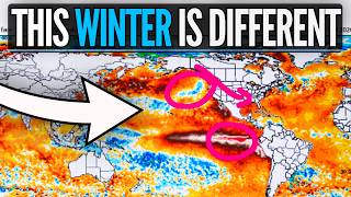 Why 2015-2016 Is NOT The Analog For This Winter