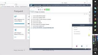 SAP IRPA BOT for MDG V2