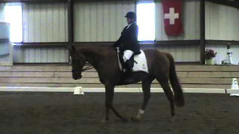 Lisa First Level Test 3 PVDA Spring Show 60.806% 3...