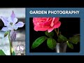 48.Garden Photography. Обработка фото, на что обратить внимание