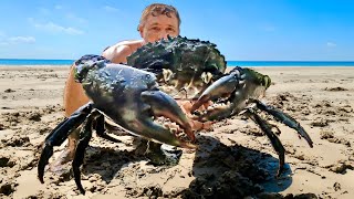 Urban Mud Crab Catch n Cook