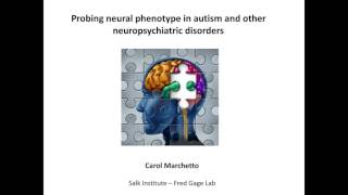 Carol Marchetto - John Graef - Daniel Millard - Advancing neuroscience functional insights from in v