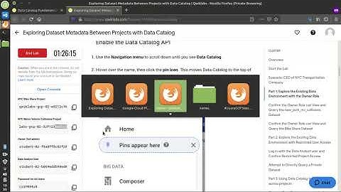 Exploring Dataset Metadata Between Projects with Data Catalog