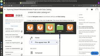 Exploring Dataset Metadata Between Projects with Data Catalog