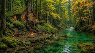 The Forest River Cabin My Mind Needed 🌊 Gentle Water & Nature ASMR for Study & Focus screenshot 3