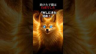 【怖い話】コンちゃんのライバルが出現！？